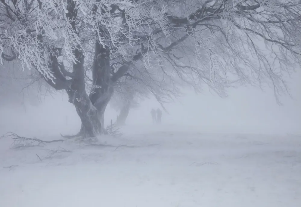 După gerul cumplit, urmează ninsori și viscol. Schimbări de ultim moment ale vremii: prognoza meteo, actualizată