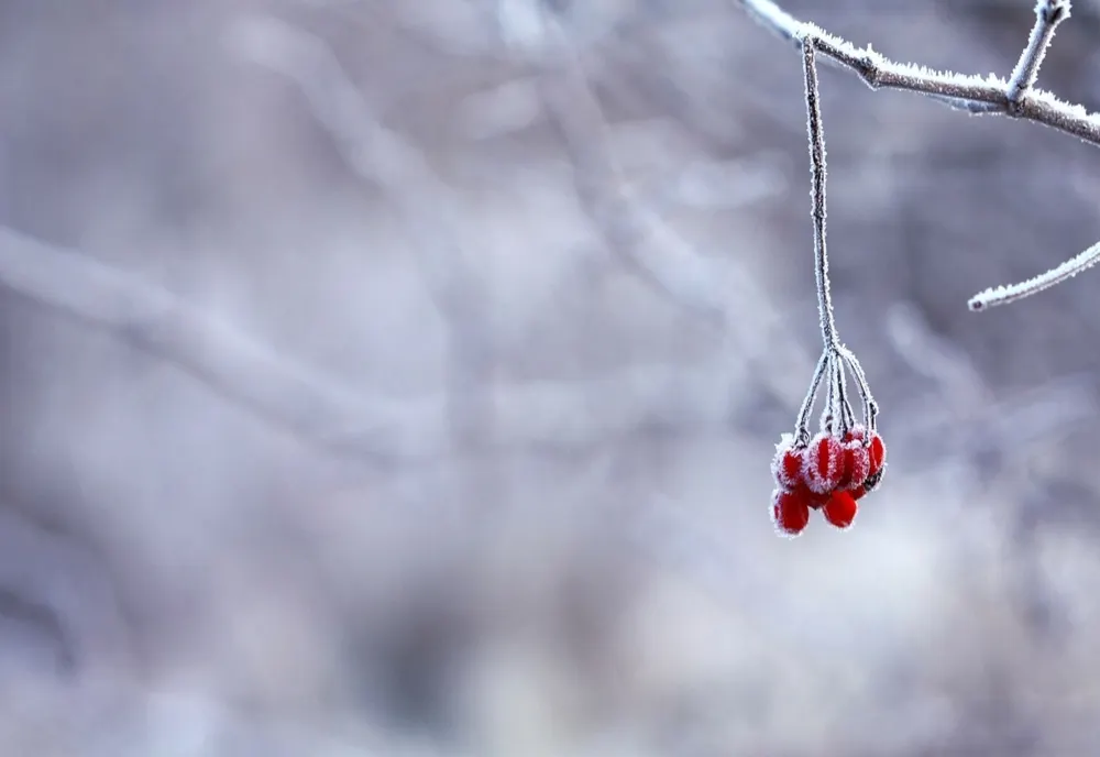 Vremea 17 ianuarie. Temperaturi ridicate, peste normalul perioadei