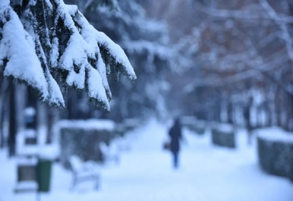 Prognoza meteo - Alertă de fenomene extreme periculoase: precipitații mixte, ceață și polei