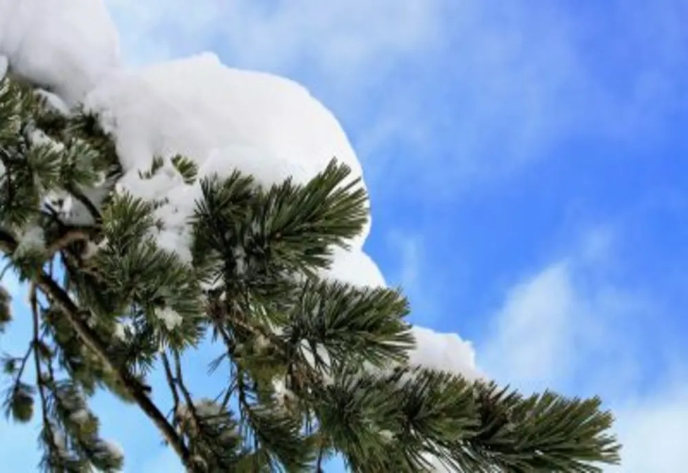 Prognoza meteo 28 ianuarie. Revin ninsorile și frigul