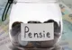 Variante pentru noua lege a pensiilor: Formula de calcul - Vârsta de pensionare crește