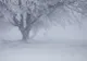 După gerul cumplit, urmează ninsori și viscol. Schimbări de ultim moment ale vremii: prognoza meteo, actualizată