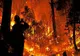 BILANȚUL DECESELOR DIN INCENDIILE DIN LOS ANGELES CONTINUĂ SĂ CREASCĂ