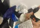 COMPLEXUL STEJARII, O COCINĂ VÂNDUTĂ LA PREȚ DE LUX! HAOSUL DOMNEȘTE LA EL ACASĂ - ȚIRIAC DUCE APOCALIPSA LA ALT NIVEL. COȘMARUL TRĂIT DE O FOSTĂ REZIDENTĂ ÎN MIZERIA PLĂTITĂ CU BANI GREI - FOTO