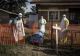 Epidemia de Ebola din Congo se extinde: peste 300 de cazuri